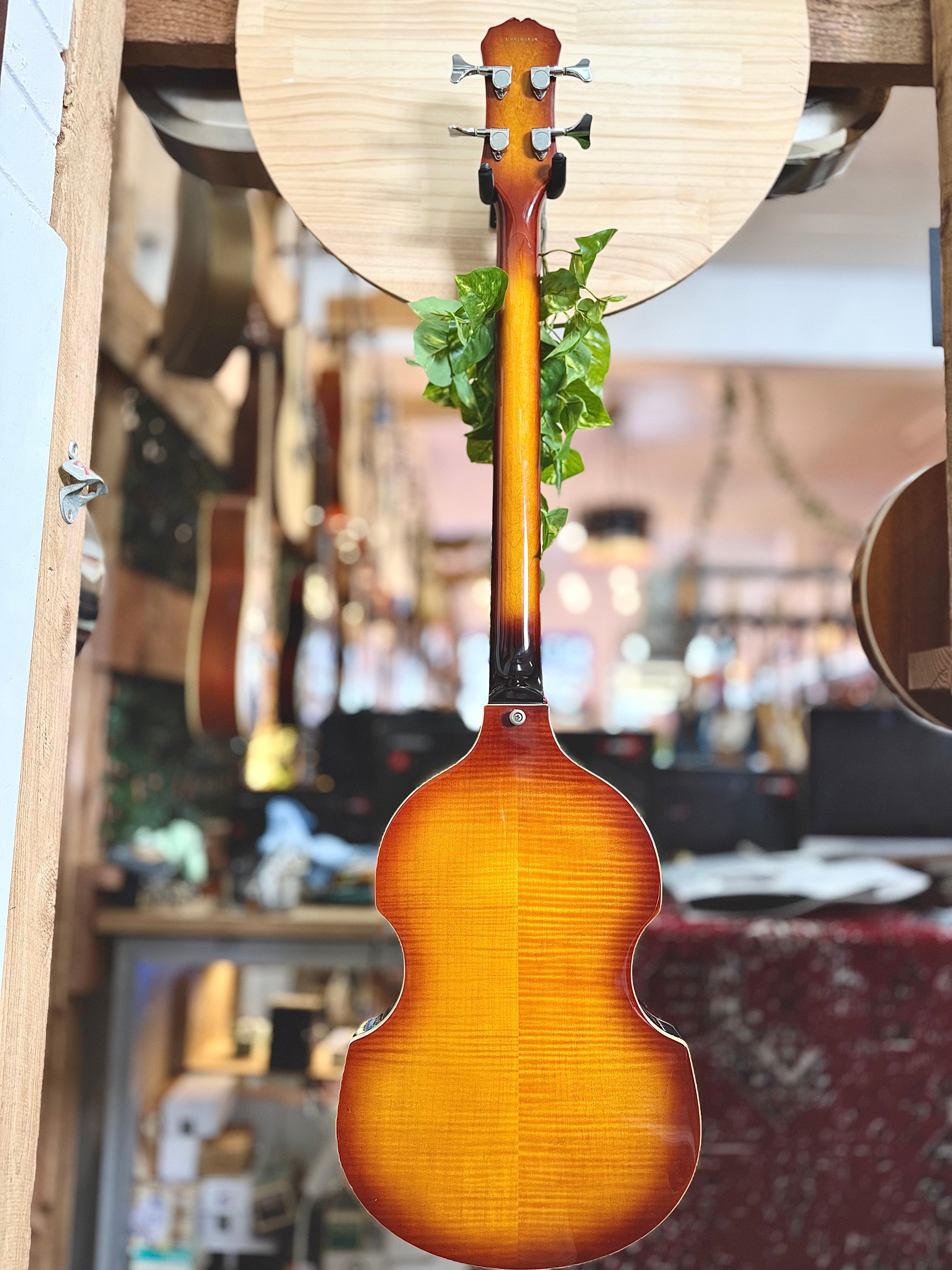 Epiphone | Viola | 4 String Bass | Sunburst | Pre-Loved Epiphone | Viola | 4 String Bass | Sunburst | Pre-Loved